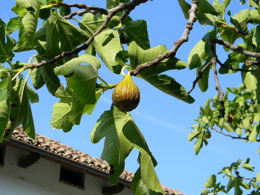 דירות Calamandrana Residenza Ca D'Masseu מראה חיצוני תמונה